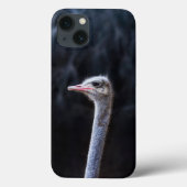 Struisvogelfotografie Case-Mate iPhone Case (Achterkant)