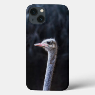 Struisvogelfotografie Case-Mate iPhone Case