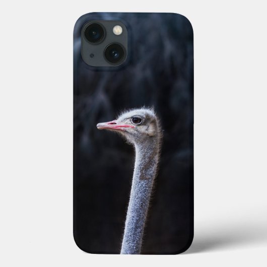 Struisvogelfotografie Case-Mate iPhone Case (Achterkant)