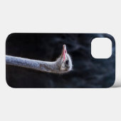 Struisvogelfotografie Case-Mate iPhone Case (Achterkant (horizontaal))