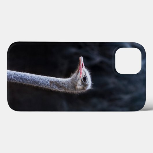 Struisvogelfotografie Case-Mate iPhone Case (Achterkant (horizontaal))