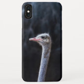 Struisvogelfotografie Case-Mate iPhone Case (Achterkant)