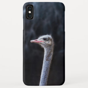 Struisvogelfotografie Case-Mate iPhone Case