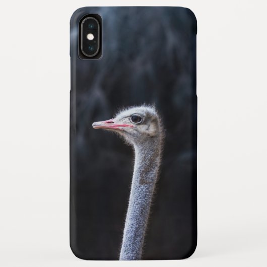 Struisvogelfotografie Case-Mate iPhone Case (Achterkant)