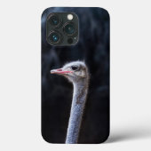Struisvogelfotografie Case-Mate iPhone Case (Achterkant)