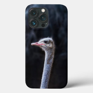 Struisvogelfotografie Case-Mate iPhone Case