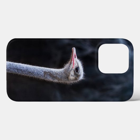Struisvogelfotografie Case-Mate iPhone Case (Achterkant (horizontaal))