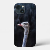 Struisvogelfotografie Case-Mate iPhone Case (Achterkant)