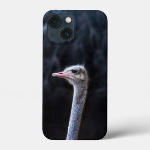 Struisvogelfotografie Case-Mate iPhone Case