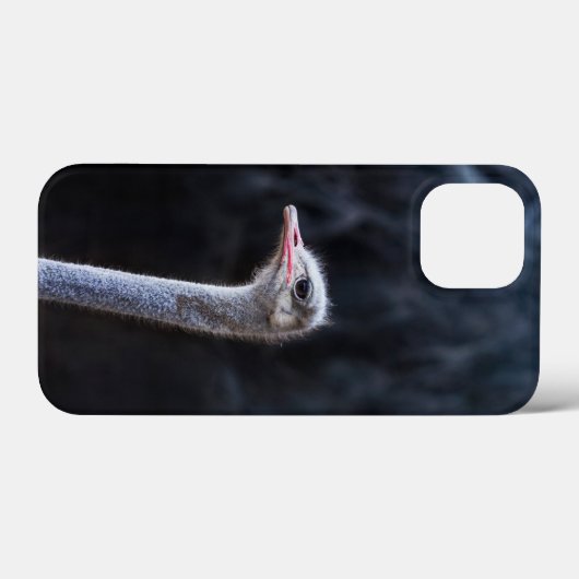 Struisvogelfotografie Case-Mate iPhone Case (Achterkant (horizontaal))