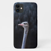 Struisvogelfotografie Case-Mate iPhone Case (Achterkant)