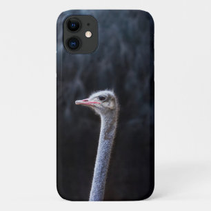 Struisvogelfotografie Case-Mate iPhone Case