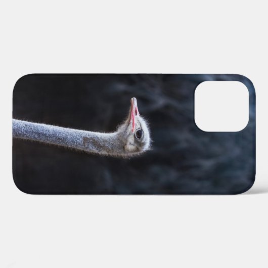 Struisvogelfotografie Case-Mate iPhone Case (Achterkant (horizontaal))