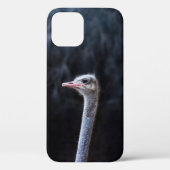 Struisvogelfotografie Case-Mate iPhone Case (Achterkant)