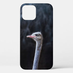 Struisvogelfotografie Case-Mate iPhone Case