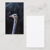 Struisvogelfotografie Contactkaartje (Voorkant / Achterkant)