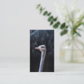 Struisvogelfotografie Contactkaartje (Staand voorkant)