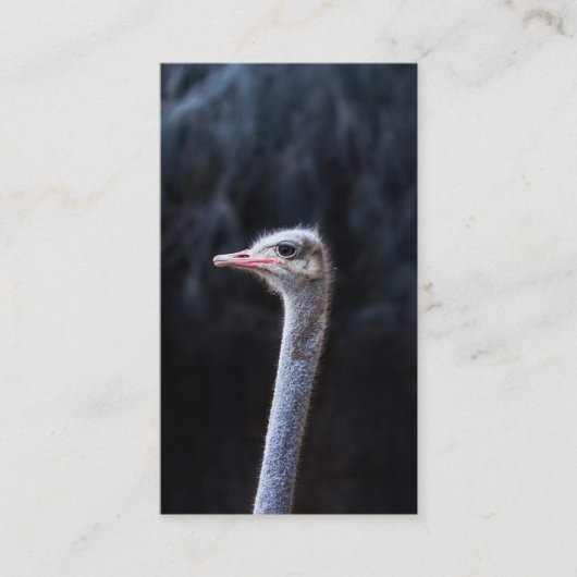 Struisvogelfotografie Contactkaartje (Voorkant)