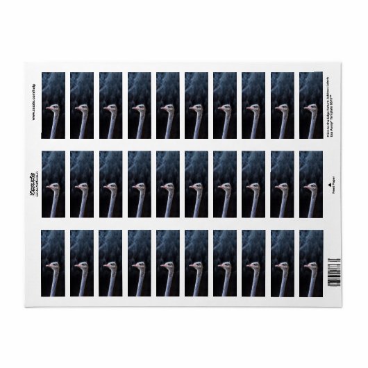 Struisvogelfotografie Etiket (Full Sheet)