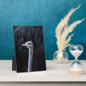 Struisvogelfotografie Fotoplaat (Zijkant)