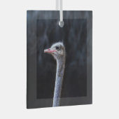 Struisvogelfotografie Glas Ornament (Voorkant Rechts)