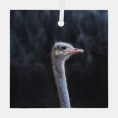 Struisvogelfotografie Glas Ornament (Achterkant)