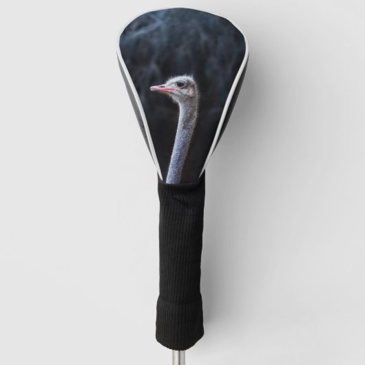 Struisvogelfotografie Golfheadcover (Voorkant)