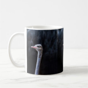 Struisvogelfotografie Koffiemok