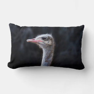 Struisvogelfotografie Kussen