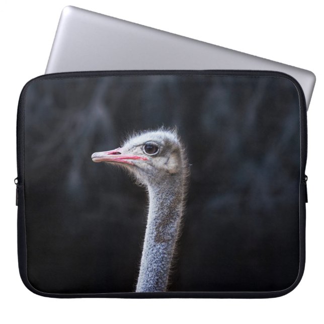 Struisvogelfotografie Laptop Sleeve (Voorkant)