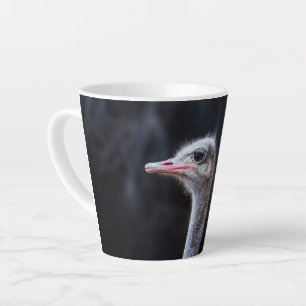 Struisvogelfotografie Latte Mok