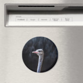 Struisvogelfotografie Magneet (Insitu (Vaatwasser))