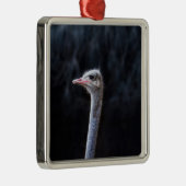 Struisvogelfotografie Metalen Ornament (Rechts)