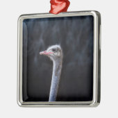 Struisvogelfotografie Metalen Ornament (Links)