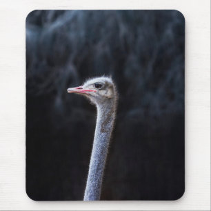 Struisvogelfotografie Muismat