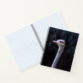 Struisvogelfotografie Notitieboek (Binnen)