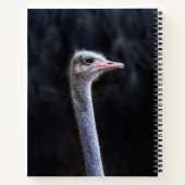 Struisvogelfotografie Notitieboek (Achterkant)