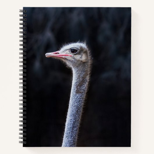 Struisvogelfotografie Notitieboek (Voorkant)