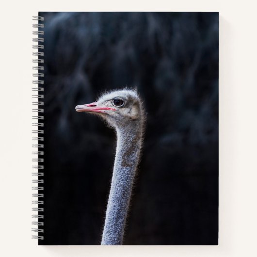 Struisvogelfotografie Notitieboek (Voorkant)