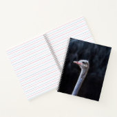 Struisvogelfotografie Notitieboek (Binnen)