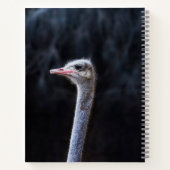 Struisvogelfotografie Notitieboek (Achterkant)