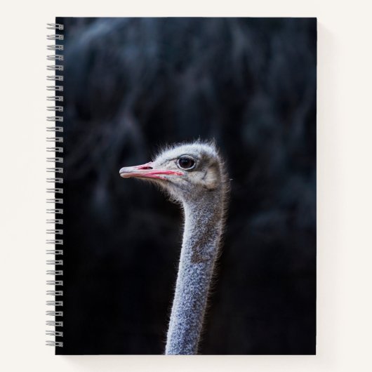Struisvogelfotografie Notitieboek (Voorkant)