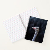 Struisvogelfotografie Notitieboek (Binnen)
