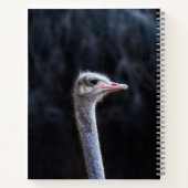 Struisvogelfotografie Notitieboek (Achterkant)