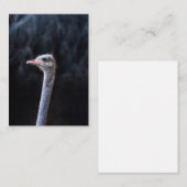 Struisvogelfotografie Notitiekaartje (Voorkant / Achterkant)