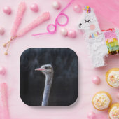 Struisvogelfotografie Papieren Bordje (Feest)