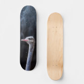 Struisvogelfotografie Persoonlijk Skateboard (Voorkant)