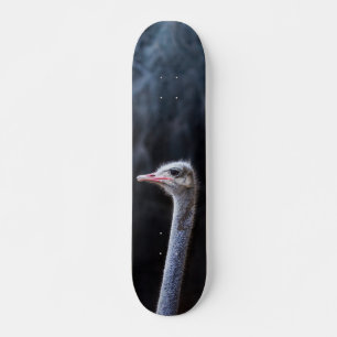 Struisvogelfotografie Persoonlijk Skateboard