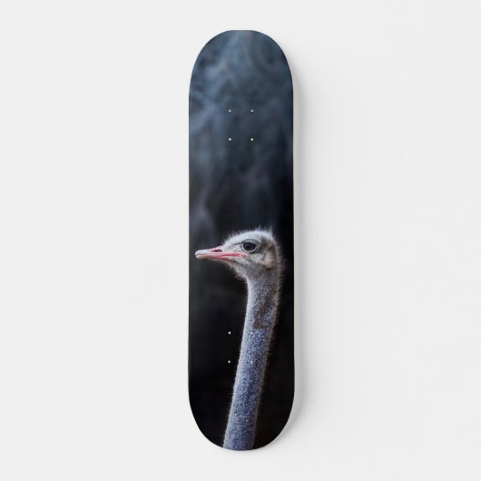 Struisvogelfotografie Persoonlijk Skateboard (Voorkant)