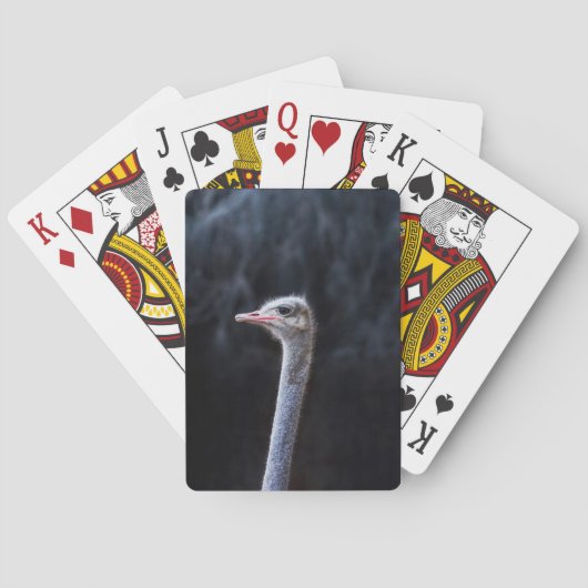 Struisvogelfotografie Pokerkaarten (Achterkant)